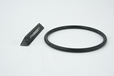 ETANșARE CARCASă CLAPETă FEBEST RINGAH010 16