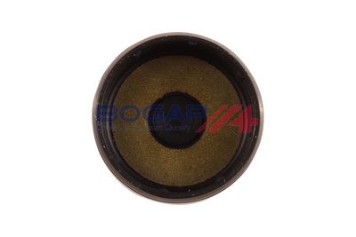 CAPAC CONECTOR BOLT PRINCIPAL BOGAP A1337104 2