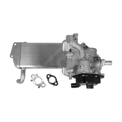Module-EGR