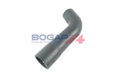 FURTUN EAR SUPRAALIMENTARE BOGAP B1711128 2