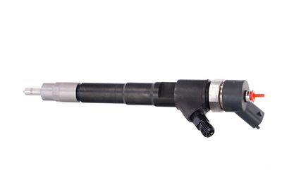 INJECTOR REMANTE 002003000031R 14