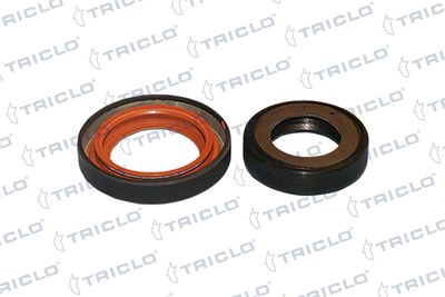 семеринг, диференциал TRICLO 671671