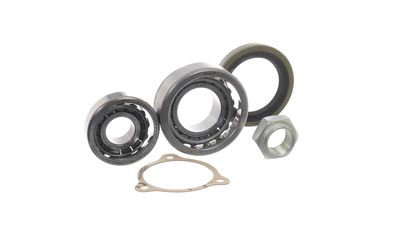 SET RULMENT ROATA SKF VKBA1386 39