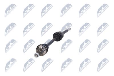 PLANETARA NTY NPWCT009 17