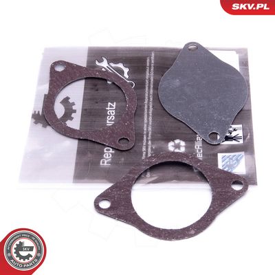 Sada na opravu, ventil AGR SKV 14SKV574
