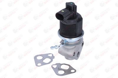 SUPAPA EGR BIRTH 90013 5