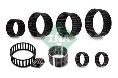 REPARATURSATZ SCHALTGETRIEBE Schaeffler INA 463000110
