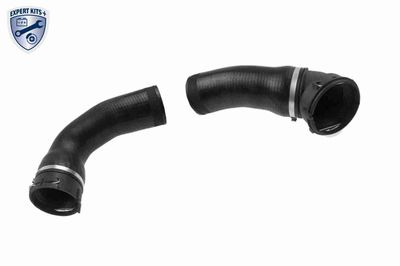 FURTUN EAR SUPRAALIMENTARE