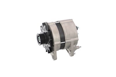 GENERATOR / ALTERNATOR REMANTE 011003000112R 13