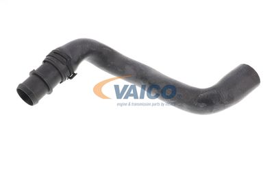 FURTUN RADIATOR VAICO V202462 12