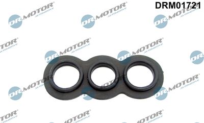 Dr.Motor Automotive Dichtung, Thermostat