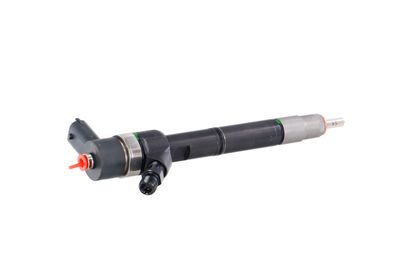 INJECTOR REMANTE 002003001680R 36