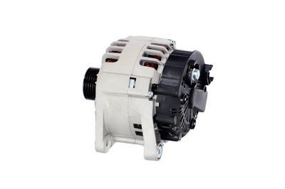 GENERATOR / ALTERNATOR REMANTE 011003000221R 18