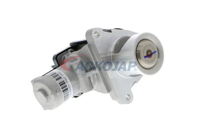 SUPAPA EGR ACKOJA A53630003 55