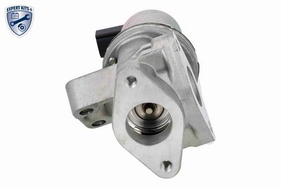 SUPAPA EGR ACKOJA A53630007 6