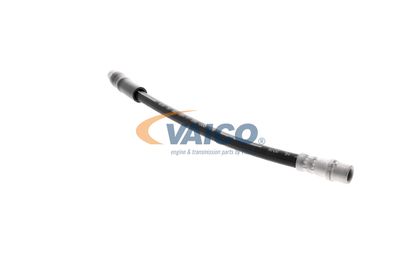 FURTUN FRANA VAICO V250900 42