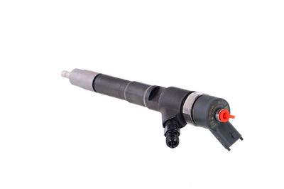 INJECTOR REMANTE 002003000031R 19
