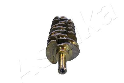 ARBORE COTIT ASHIKA 18TY003 1