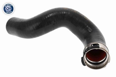 LADELUFTSCHLAUCH VAICO V461396 2