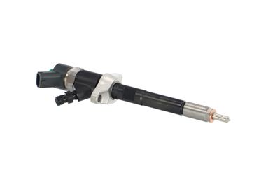 INJECTOR REMANTE 002003001694R 46