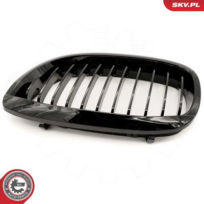 GRILA RADIATOR ESEN SKV 66SKV068 4