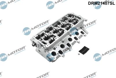 Dr.Motor Automotive Cilindro galvutė