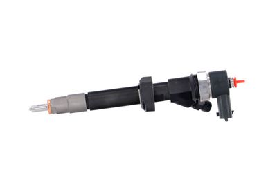 INJECTOR REMANTE 002003001027R 10