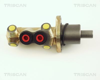 TRISCAN 8130 28101 Ремкомплект главного тормозного цилиндра  для RENAULT EXPRESS (Рено Еxпресс)
