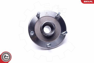 Wheel Bearing Kit 29SKV461