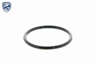 CARCASA TERMOSTAT VEMO V15992054 2