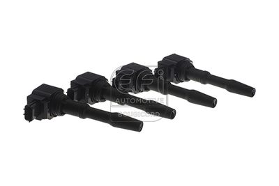 запалителна бобина EFI AUTOMOTIVE 155313p