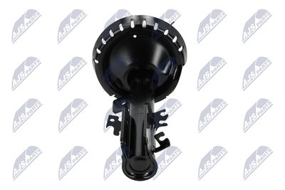 AMORTIZOR NTY ACT041 16