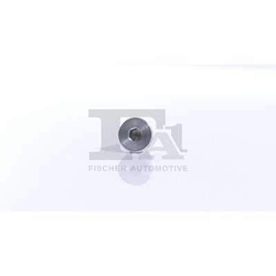 SURUB GOLIRE CARCASA TRANSMISIE FA1 257925001 11