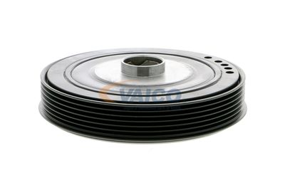 FULIE CUREA ARBORE COTIT VAICO V460814 15