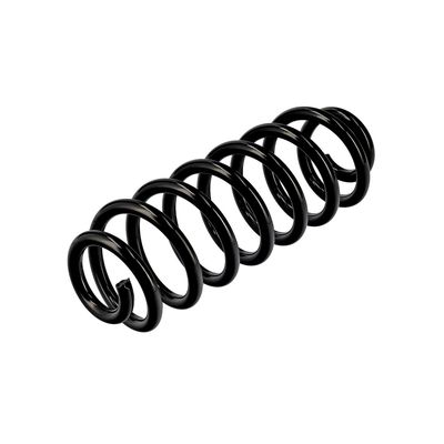 ARC SPIRAL EIBACH R10701 16