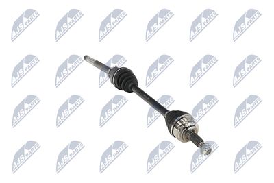 PLANETARA NTY NPWPE017 13