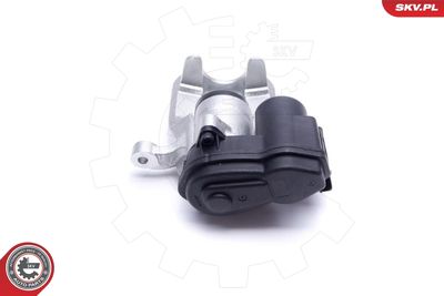 Brake Caliper 55SKV984