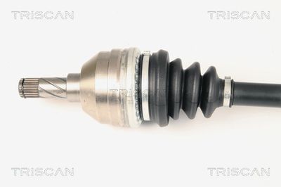 PLANETARA TRISCAN 854024547 1