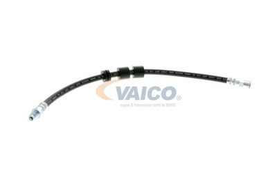 FURTUN FRANA VAICO V204105 48