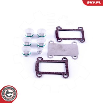 Remonto komplektas, įsiurbimo kolektoriaus modulis