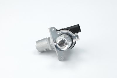 AGR-VENTIL CONTINENTAL/VDO 2803601011302 2