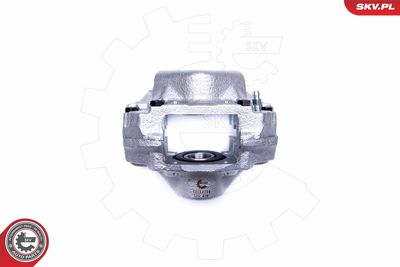 Brake Caliper 42SKV734