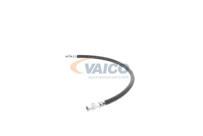 FURTUN FRANA VAICO V309926 21