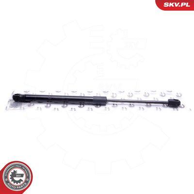 Dujinė spyruoklė, bagažinė