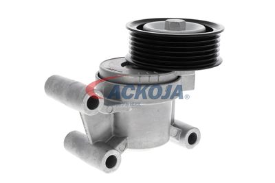 INTINZATOR CUREA CUREA DISTRIBUTIE ACKOJA A320602 31