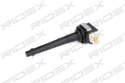 Катушка зажигания RIDEX 689C0348 для RENAULT FLUENCE