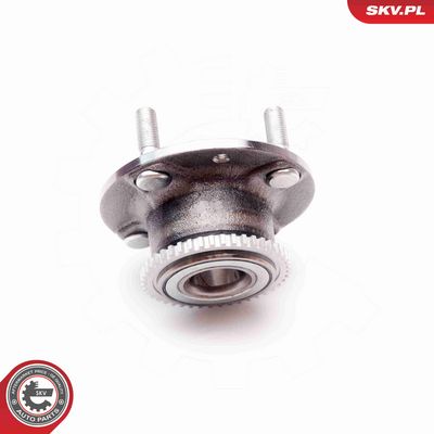 SET RULMENT ROATA ESEN SKV 29SKV066 2