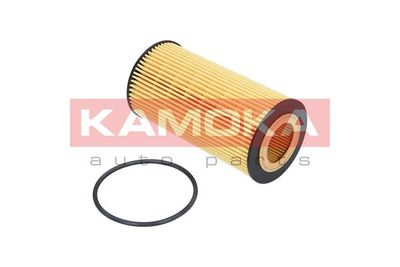 Oil Filter F110101