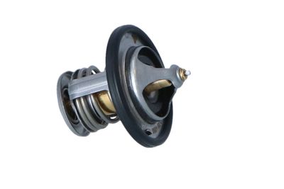 TERMOSTAT LICHID RACIRE NRF 725110 39