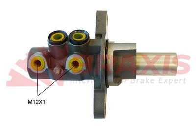 BRAXIS AJ0174 Ремкомплект тормозного цилиндра  для PEUGEOT  (Пежо Ркз)
